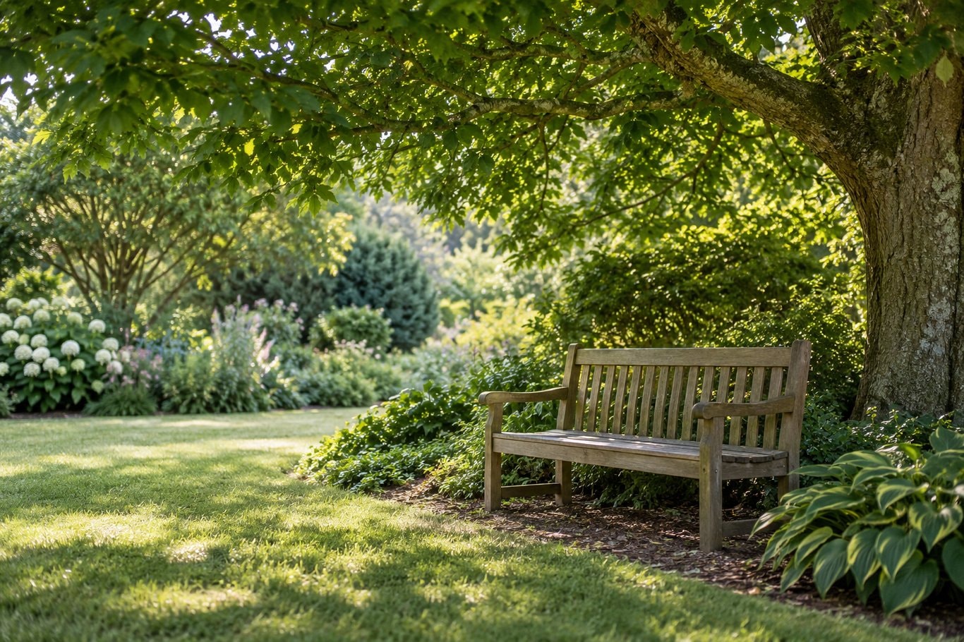 An empty wooden bench in the shade of a leafy tree